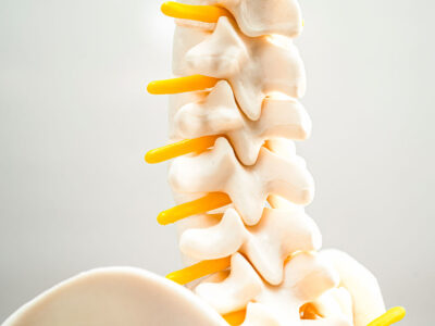 Fundamentos Anatómicos y Fisiológicos del Aparato Locomotor para Técnico Superior en Laboratorio Clínico y Biomédico