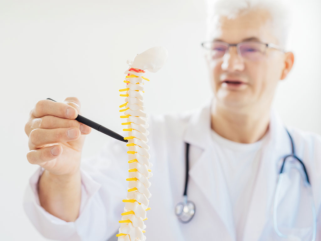 Fundamentos Anatómicos y Fisiológicos del Aparato Locomotor para TES