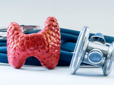 Fundamentos Anatómicos y Fisiológicos del Sistema Endocrino y Aparato Genital para TCAE