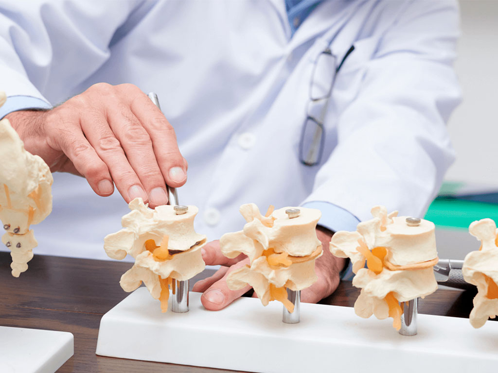 Fundamentos Anatómicos y Fisiológicos del Aparato Locomotor para TCAE